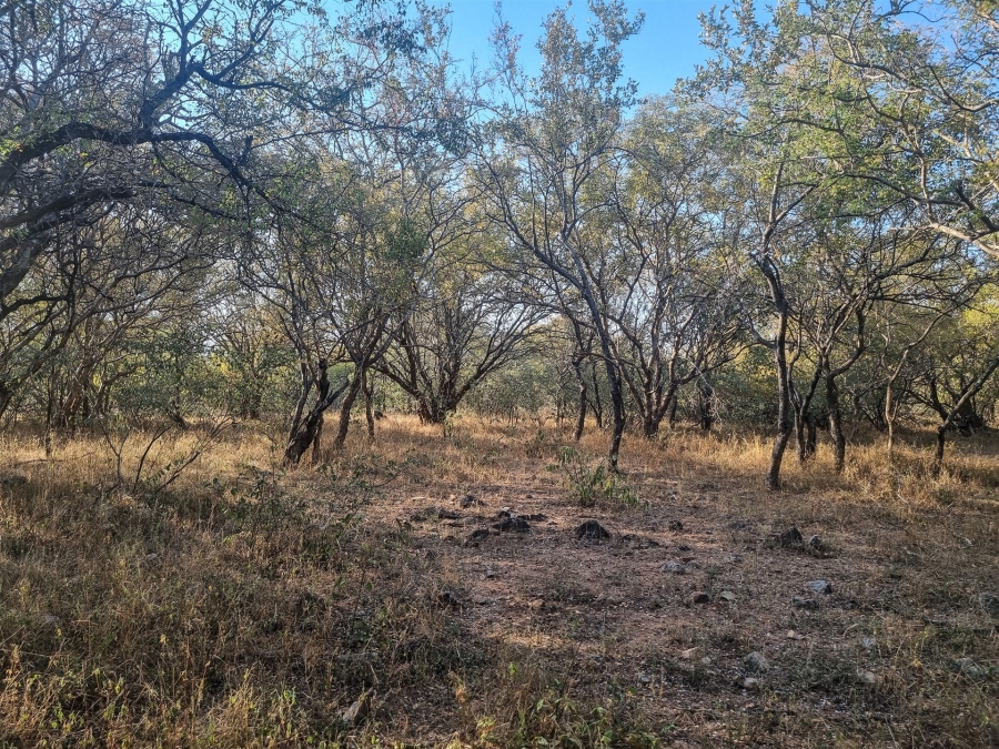 0 Bedroom Property for Sale in Raptors View Wildlife Estate Limpopo