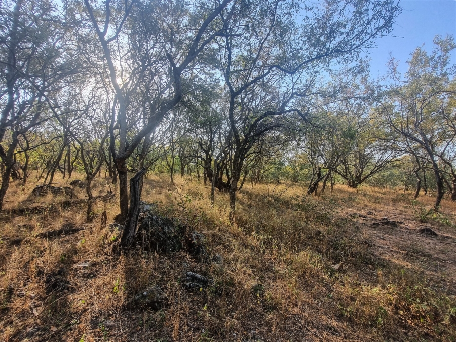 0 Bedroom Property for Sale in Raptors View Wildlife Estate Limpopo