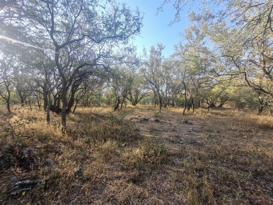 0 Bedroom Property for Sale in Raptors View Wildlife Estate Limpopo