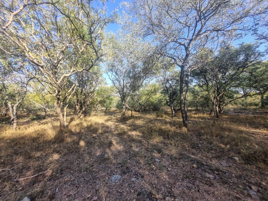 0 Bedroom Property for Sale in Raptors View Wildlife Estate Limpopo
