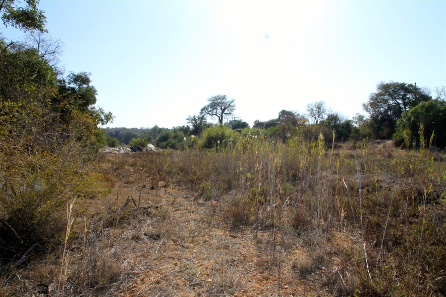 4 Bedroom Property for Sale in Raptors View Wildlife Estate Limpopo
