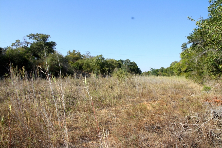 4 Bedroom Property for Sale in Raptors View Wildlife Estate Limpopo