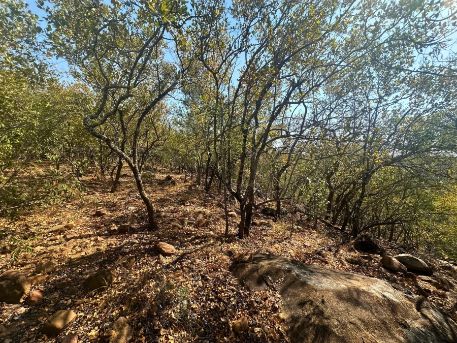 0 Bedroom Property for Sale in Canyon Game Reserve Limpopo
