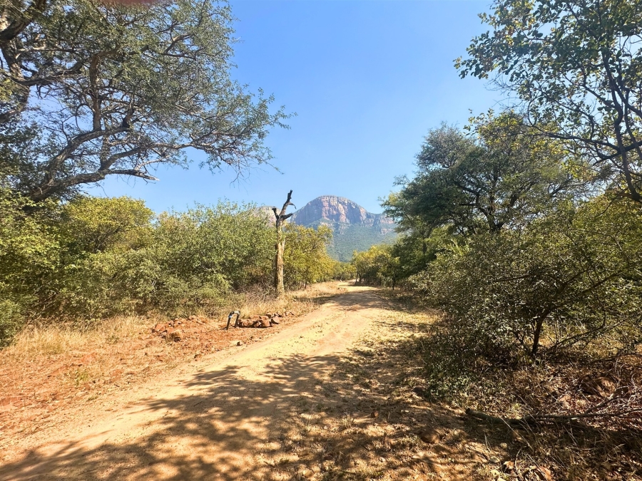0 Bedroom Property for Sale in Canyon Game Reserve Limpopo