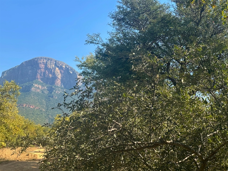 0 Bedroom Property for Sale in Canyon Game Reserve Limpopo