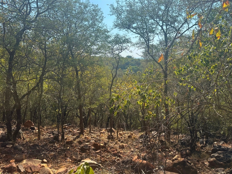 0 Bedroom Property for Sale in Canyon Game Reserve Limpopo