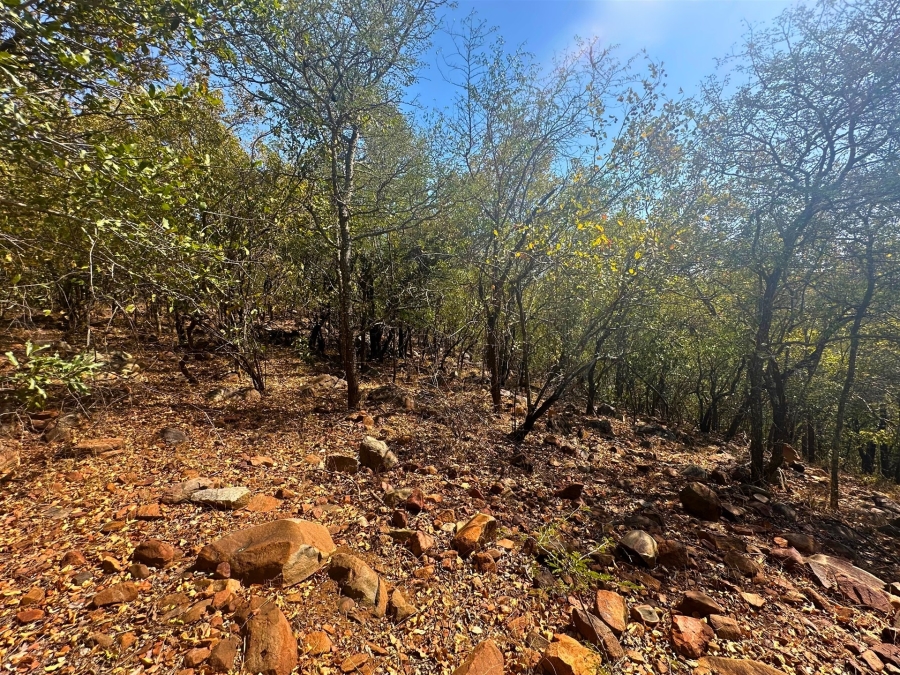 0 Bedroom Property for Sale in Canyon Game Reserve Limpopo