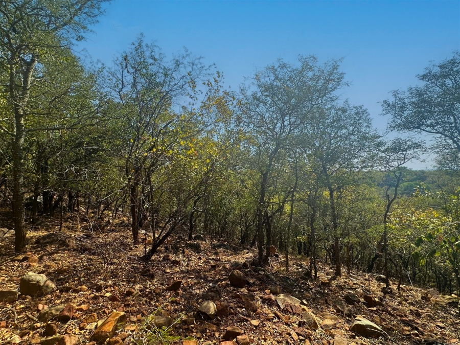 0 Bedroom Property for Sale in Canyon Game Reserve Limpopo