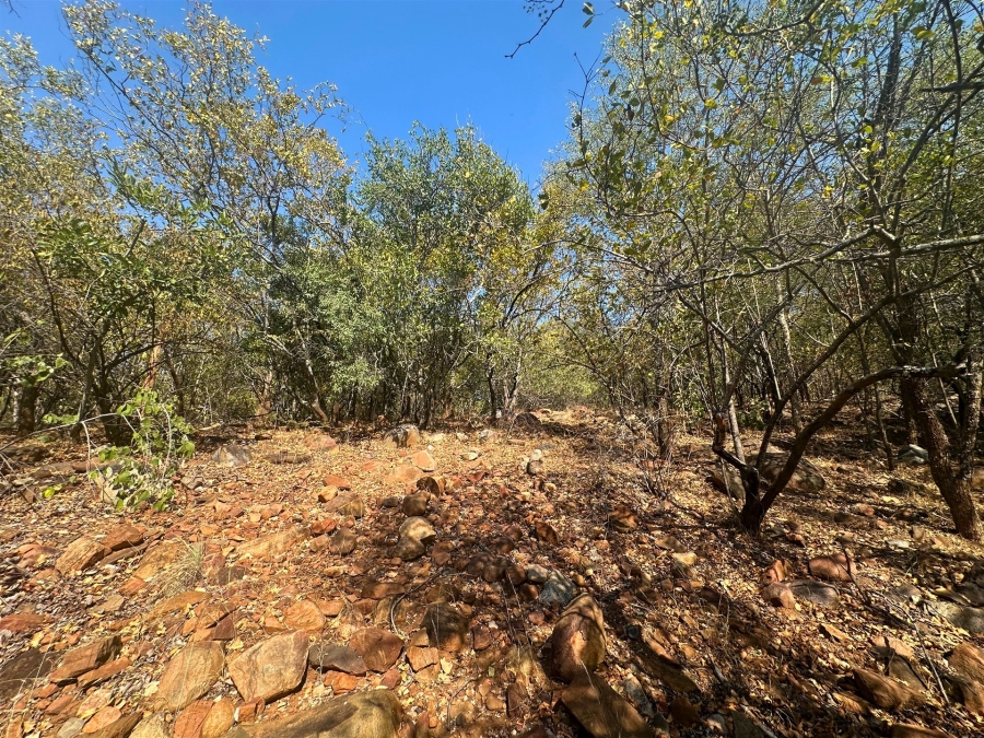 0 Bedroom Property for Sale in Canyon Game Reserve Limpopo