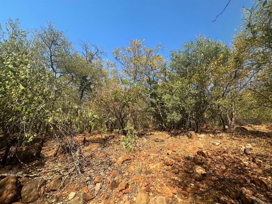 0 Bedroom Property for Sale in Canyon Game Reserve Limpopo
