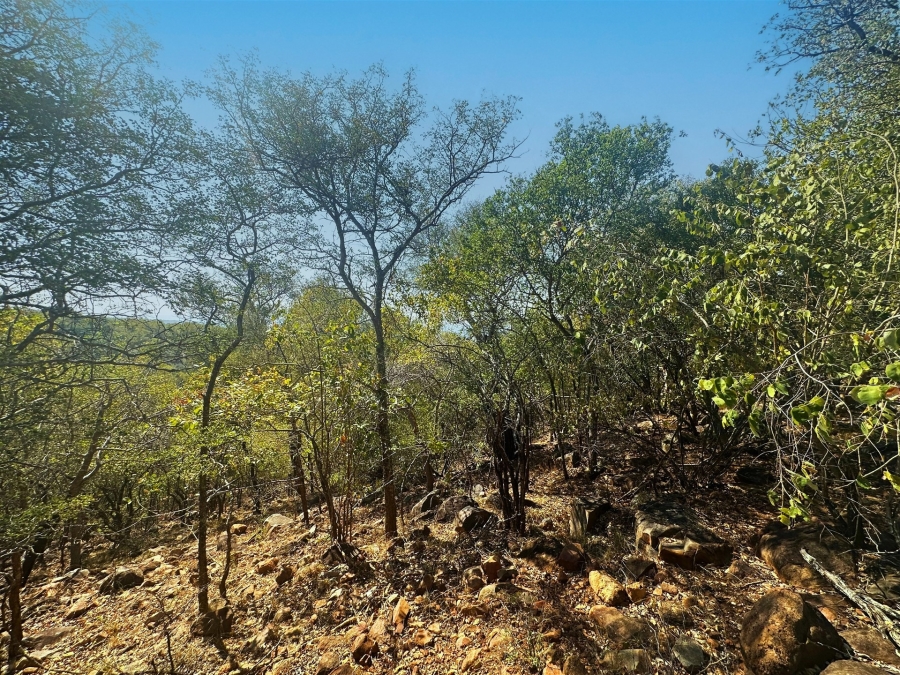 0 Bedroom Property for Sale in Canyon Game Reserve Limpopo