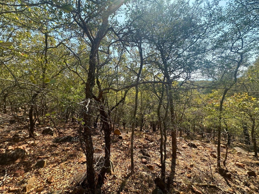 0 Bedroom Property for Sale in Canyon Game Reserve Limpopo