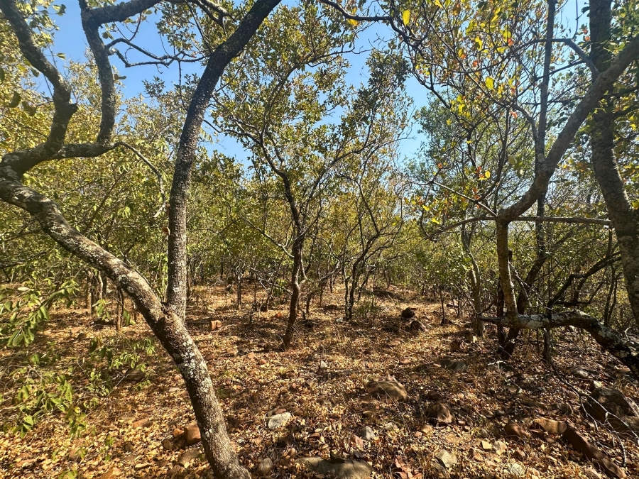 0 Bedroom Property for Sale in Canyon Game Reserve Limpopo