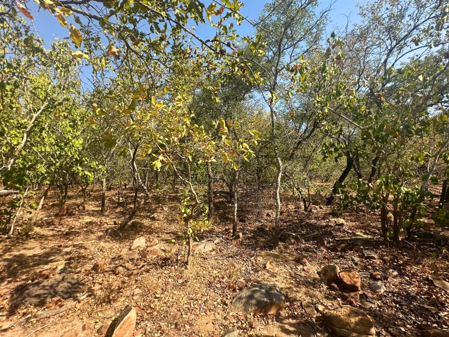 0 Bedroom Property for Sale in Canyon Game Reserve Limpopo
