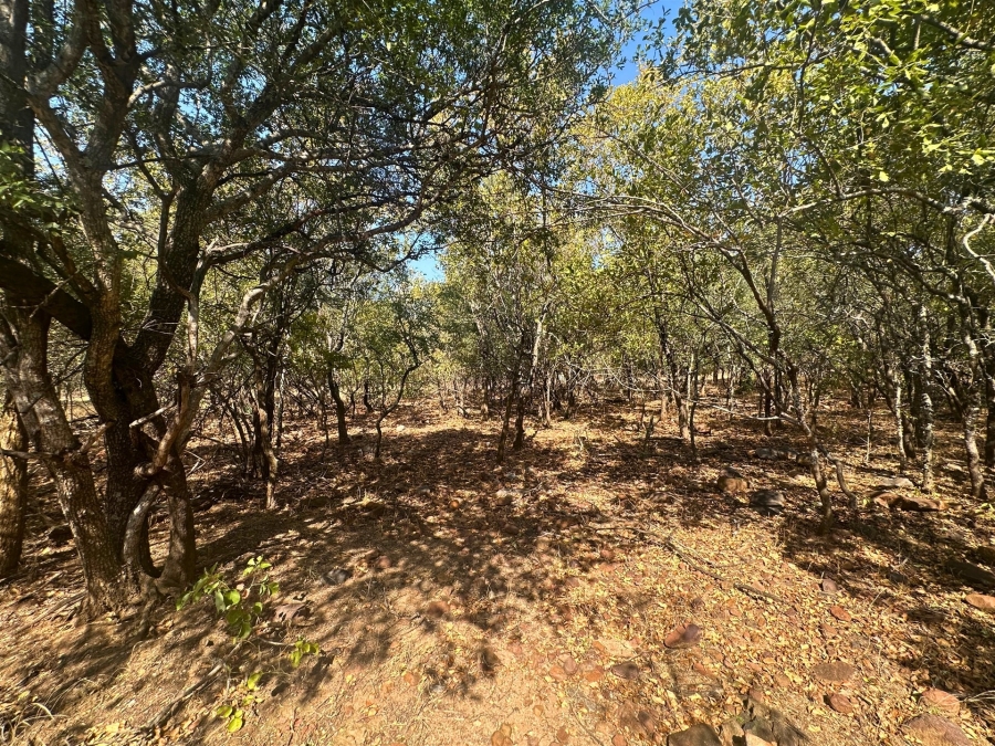0 Bedroom Property for Sale in Canyon Game Reserve Limpopo
