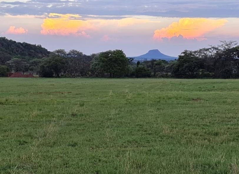 0 Bedroom Property for Sale in Verloren Estate Limpopo