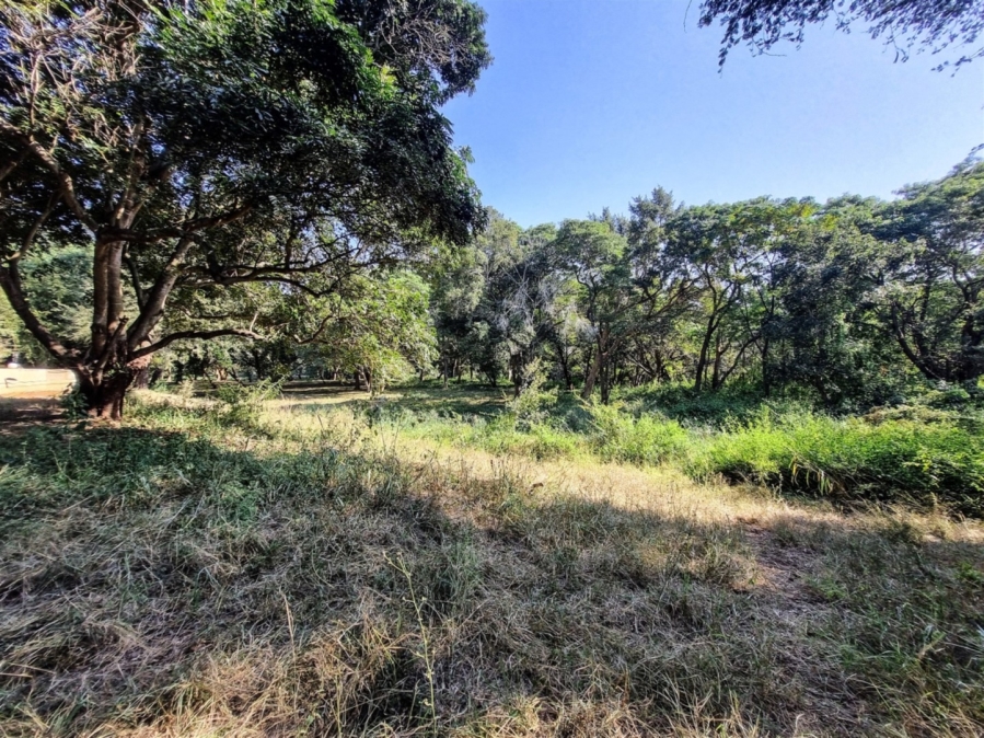 0 Bedroom Property for Sale in Blyde Wildlife Estate Limpopo