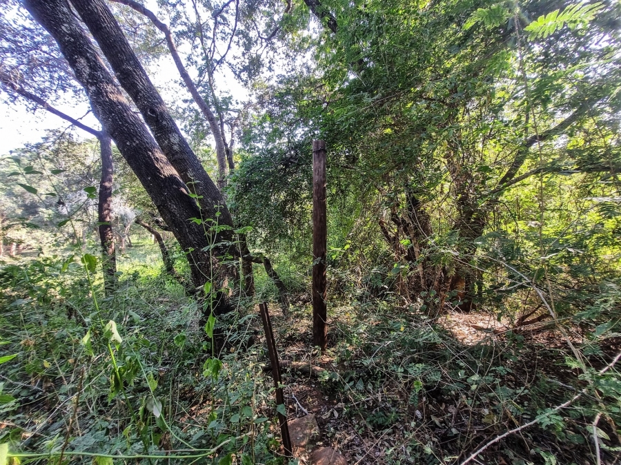 0 Bedroom Property for Sale in Blyde Wildlife Estate Limpopo