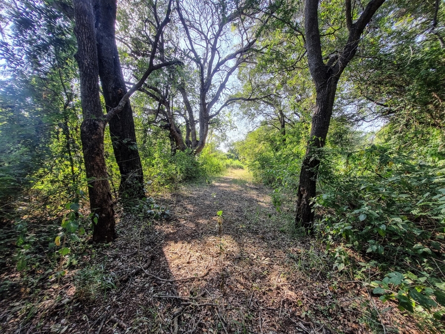 0 Bedroom Property for Sale in Blyde Wildlife Estate Limpopo