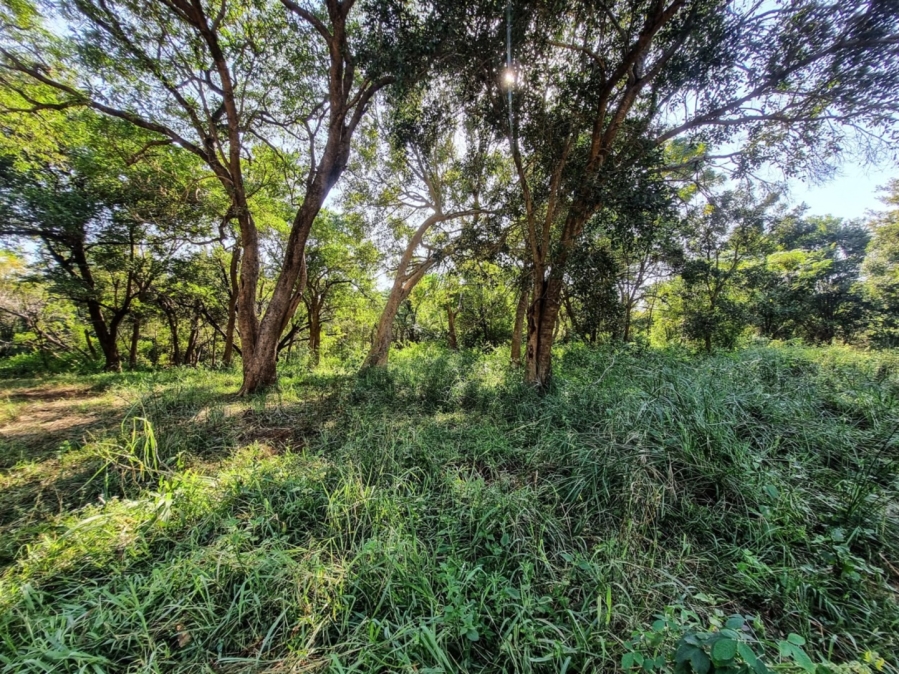 0 Bedroom Property for Sale in Blyde Wildlife Estate Limpopo