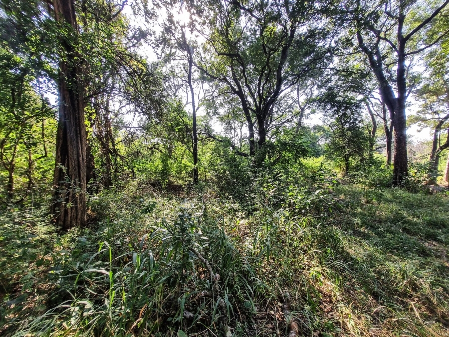 0 Bedroom Property for Sale in Blyde Wildlife Estate Limpopo