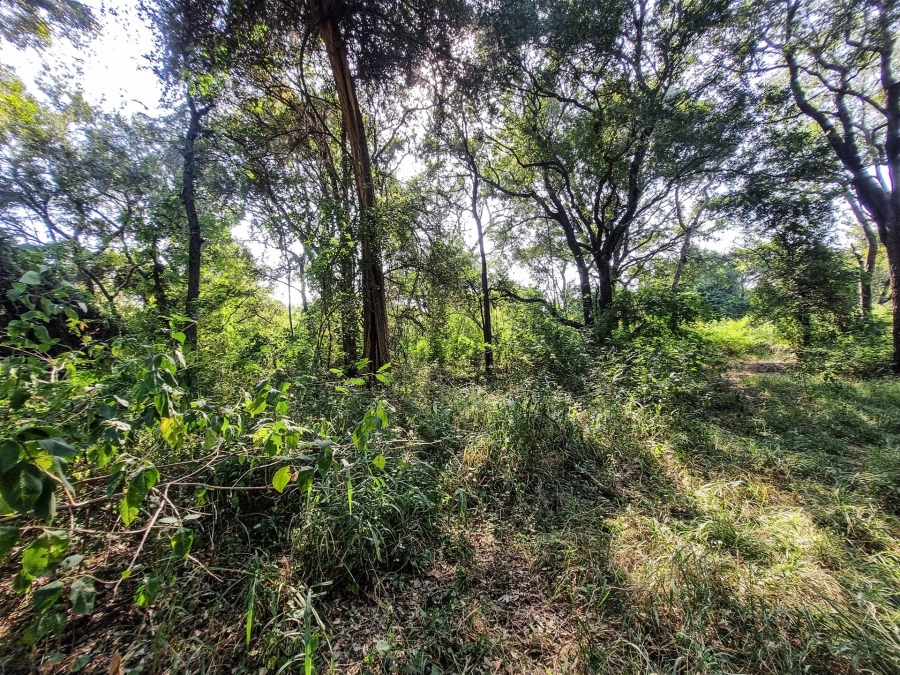 0 Bedroom Property for Sale in Blyde Wildlife Estate Limpopo