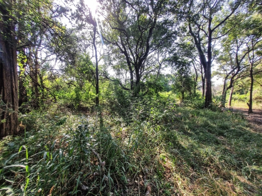 0 Bedroom Property for Sale in Blyde Wildlife Estate Limpopo
