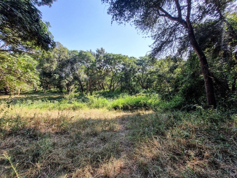 0 Bedroom Property for Sale in Blyde Wildlife Estate Limpopo