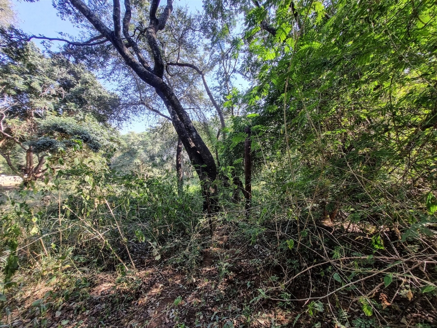 0 Bedroom Property for Sale in Blyde Wildlife Estate Limpopo