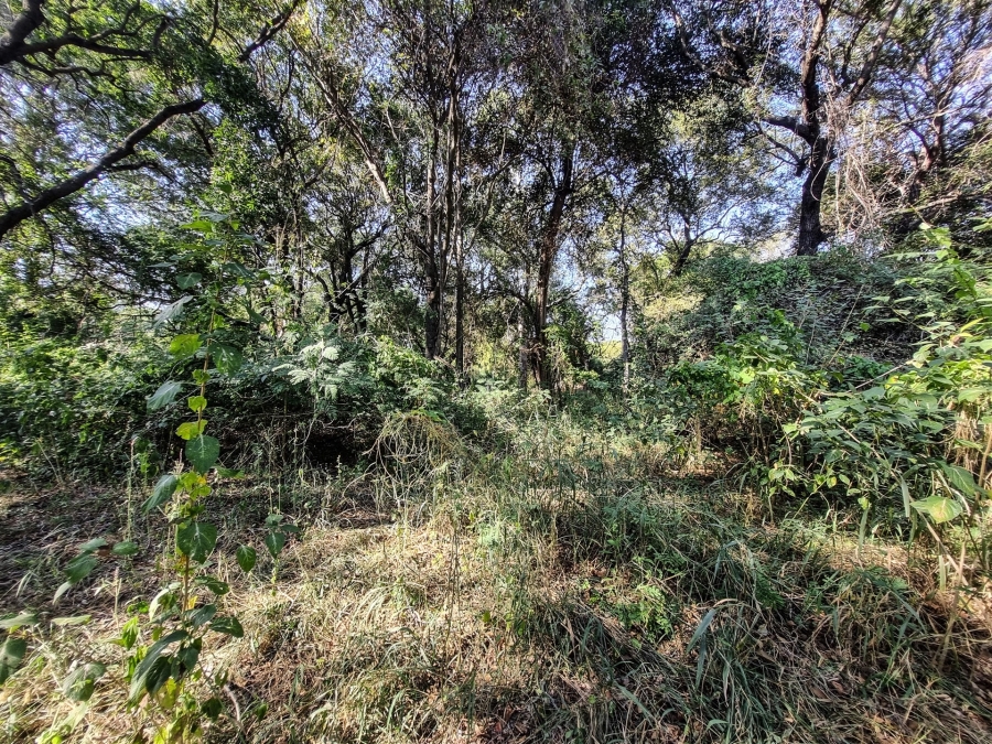 0 Bedroom Property for Sale in Blyde Wildlife Estate Limpopo