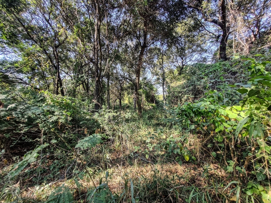 0 Bedroom Property for Sale in Blyde Wildlife Estate Limpopo