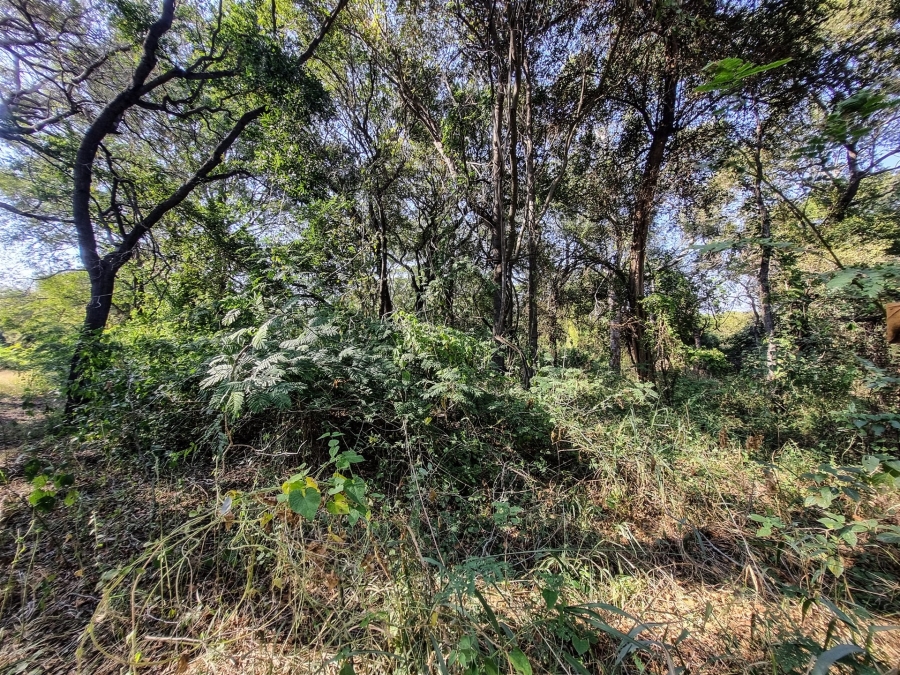 0 Bedroom Property for Sale in Blyde Wildlife Estate Limpopo