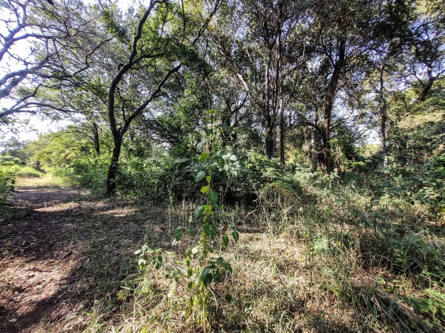0 Bedroom Property for Sale in Blyde Wildlife Estate Limpopo