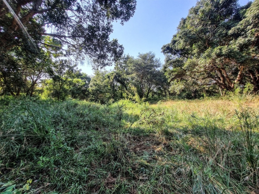 0 Bedroom Property for Sale in Blyde Wildlife Estate Limpopo