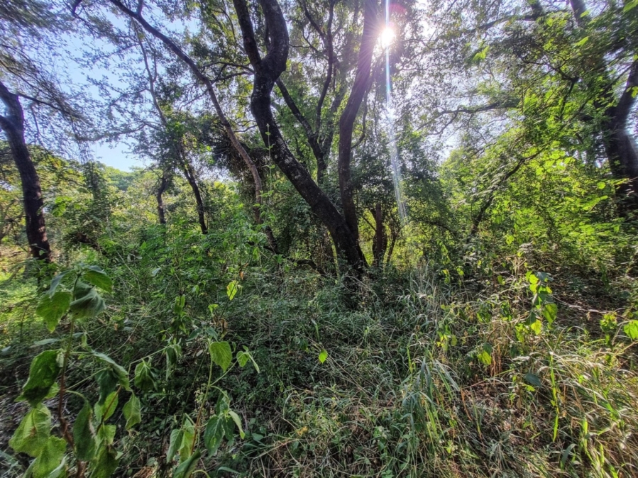 0 Bedroom Property for Sale in Blyde Wildlife Estate Limpopo