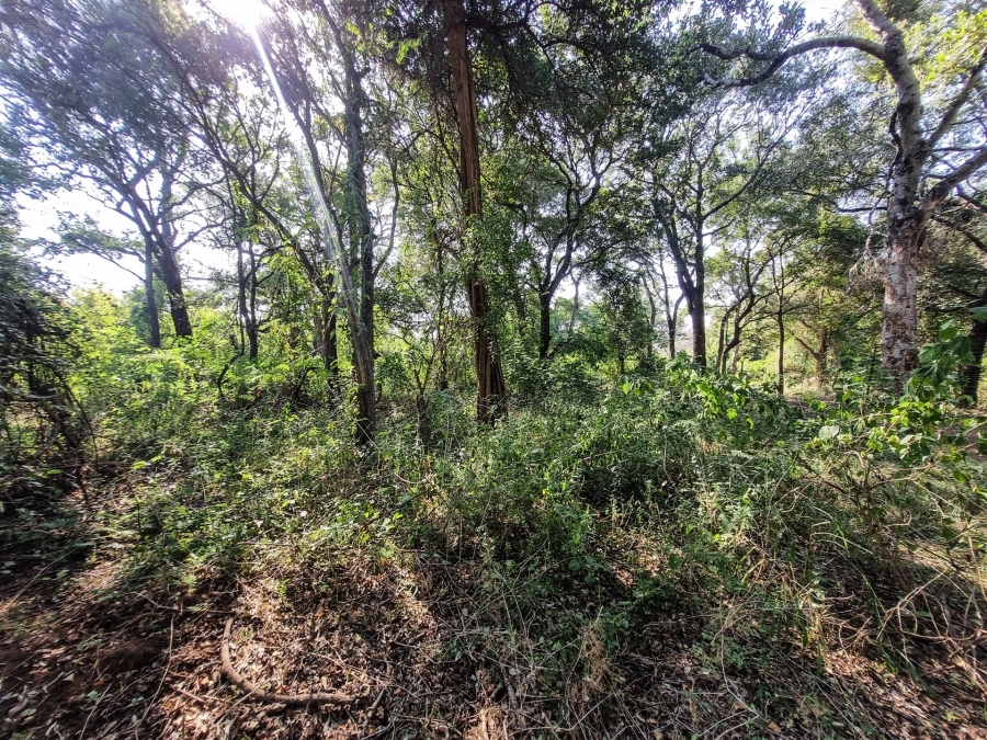 0 Bedroom Property for Sale in Blyde Wildlife Estate Limpopo