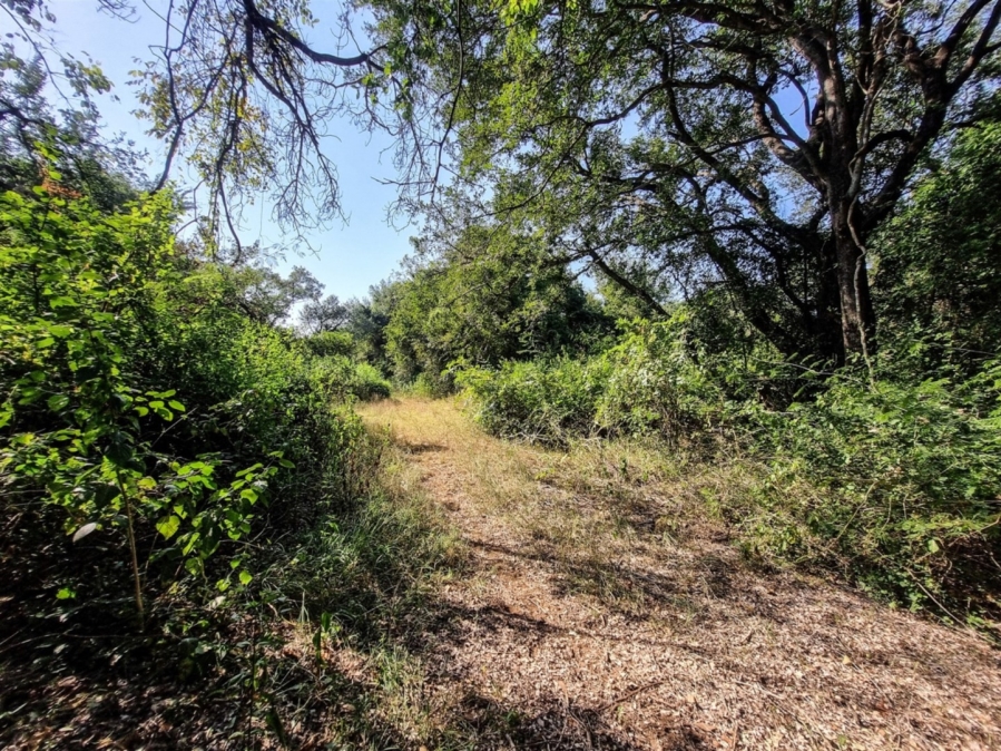 0 Bedroom Property for Sale in Blyde Wildlife Estate Limpopo