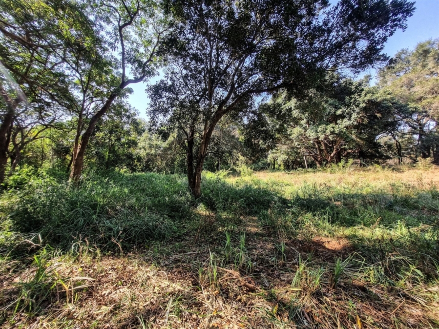 0 Bedroom Property for Sale in Blyde Wildlife Estate Limpopo