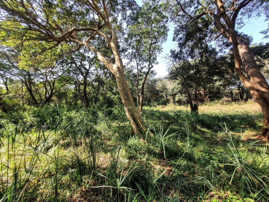 0 Bedroom Property for Sale in Blyde Wildlife Estate Limpopo