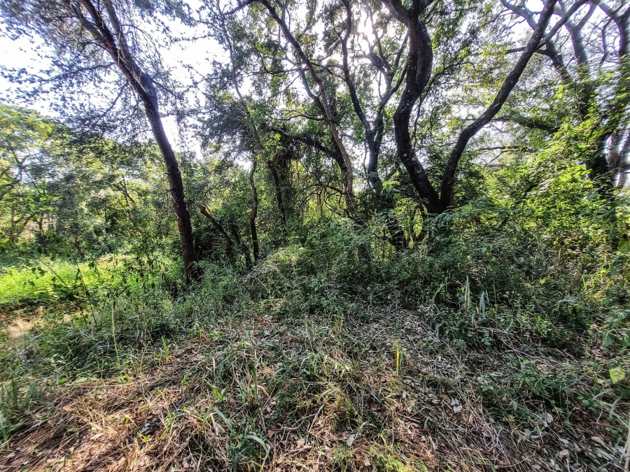 0 Bedroom Property for Sale in Blyde Wildlife Estate Limpopo