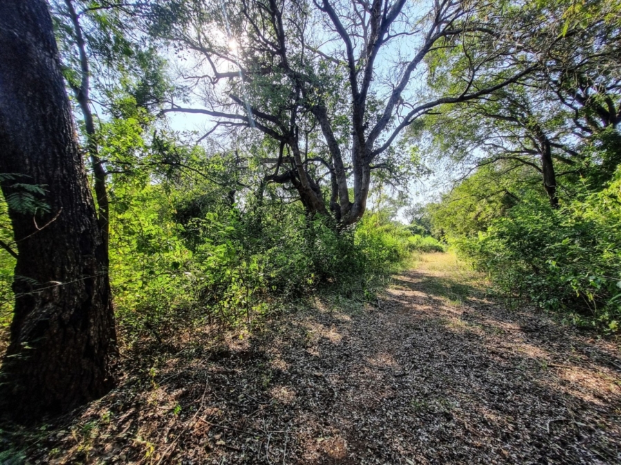0 Bedroom Property for Sale in Blyde Wildlife Estate Limpopo