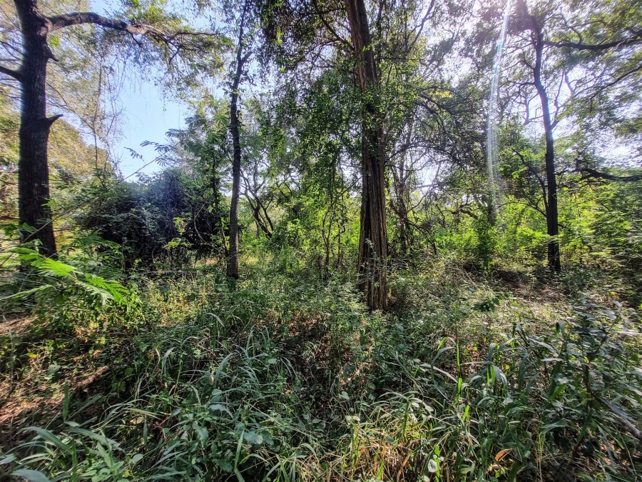 0 Bedroom Property for Sale in Blyde Wildlife Estate Limpopo