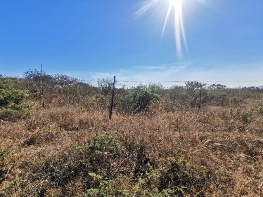 0 Bedroom Property for Sale in Tweefontein A H Limpopo