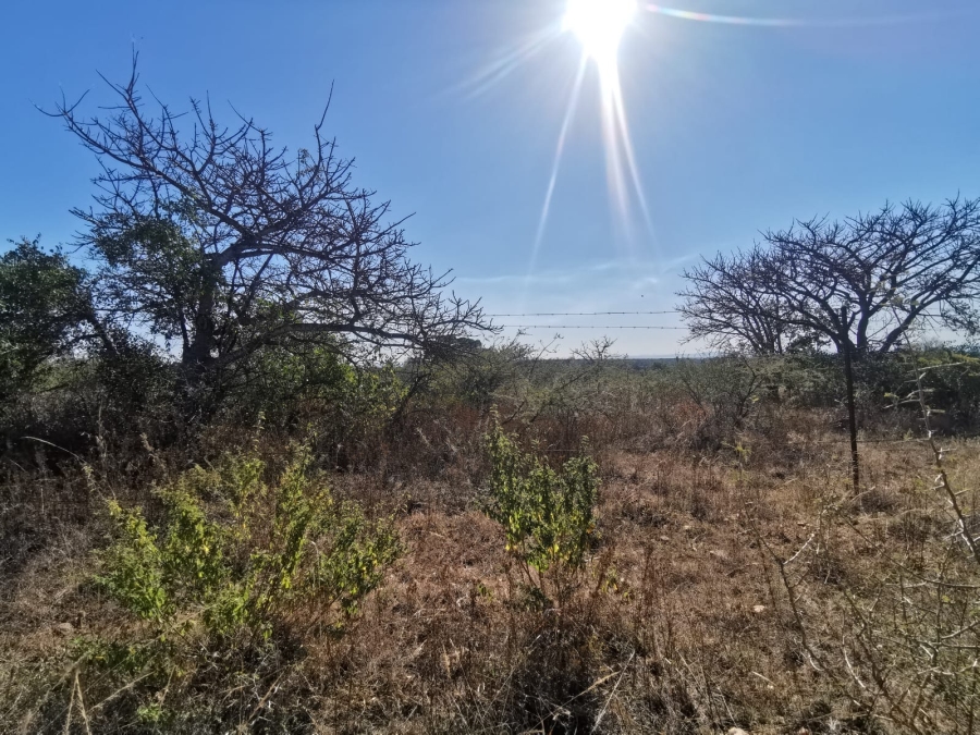 0 Bedroom Property for Sale in Tweefontein A H Limpopo