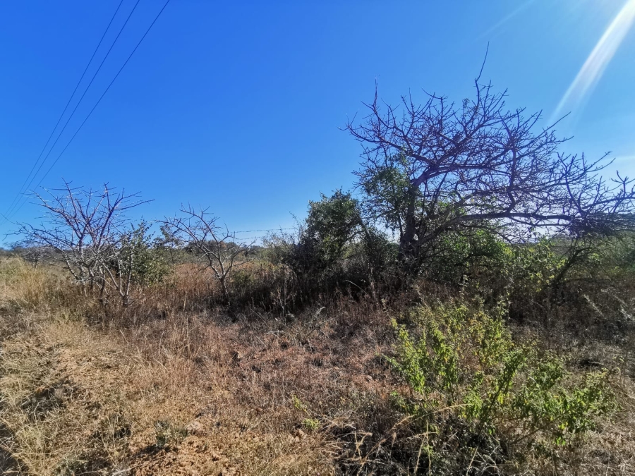 0 Bedroom Property for Sale in Tweefontein A H Limpopo