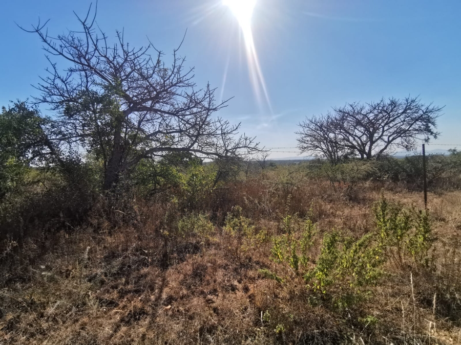 0 Bedroom Property for Sale in Tweefontein A H Limpopo