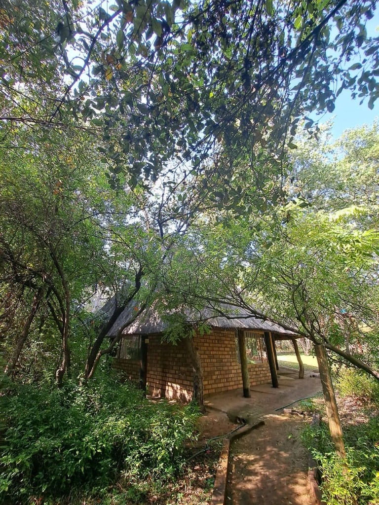 10 Bedroom Property for Sale in Phalaborwa Limpopo