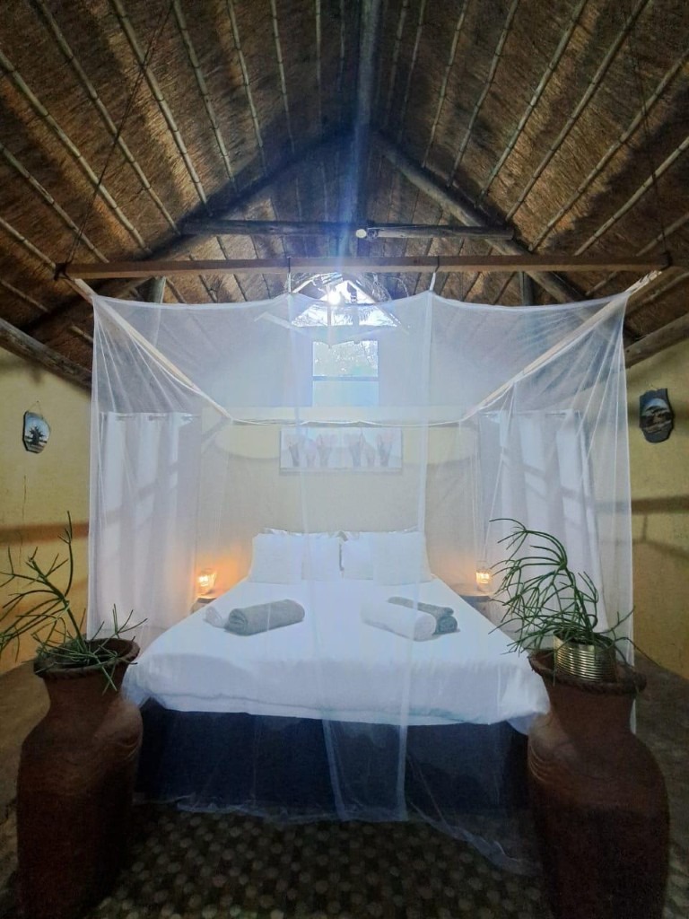 10 Bedroom Property for Sale in Phalaborwa Limpopo