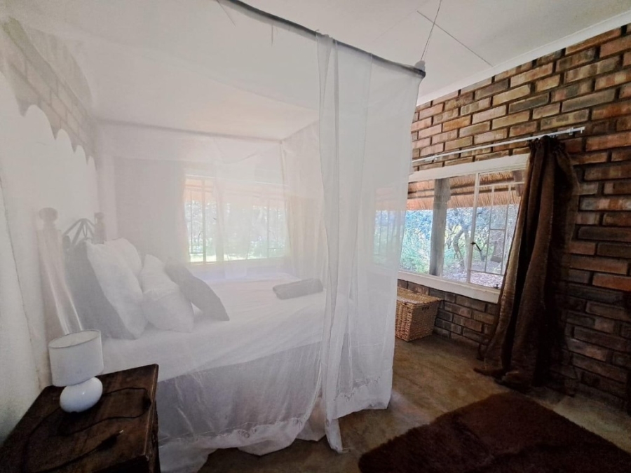 10 Bedroom Property for Sale in Phalaborwa Limpopo