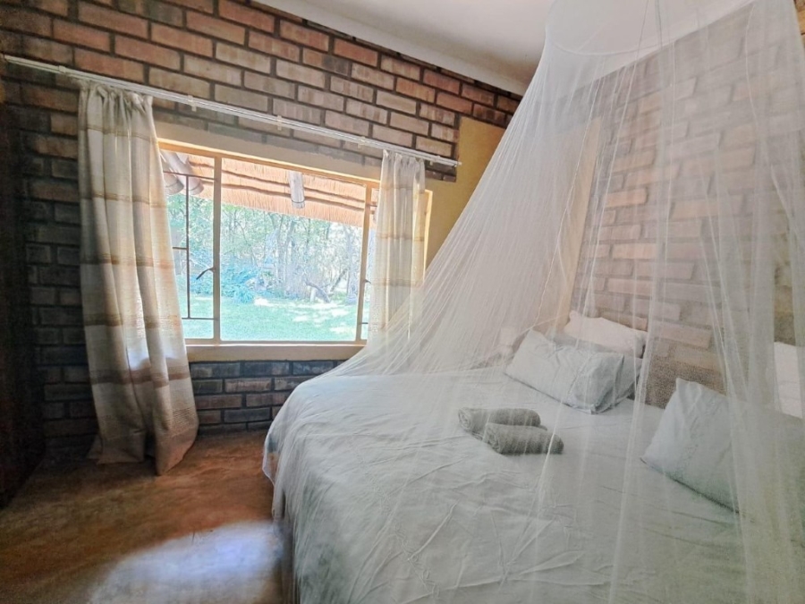 10 Bedroom Property for Sale in Phalaborwa Limpopo